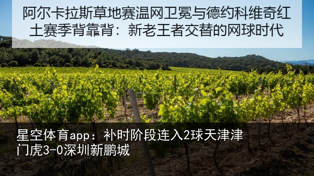 星空体育app：补时阶段连入2球天津津门虎3-0深圳新鹏城