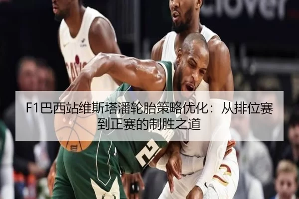 F1巴西站维斯塔潘轮胎策略优化：从排位赛到正赛的制胜之道