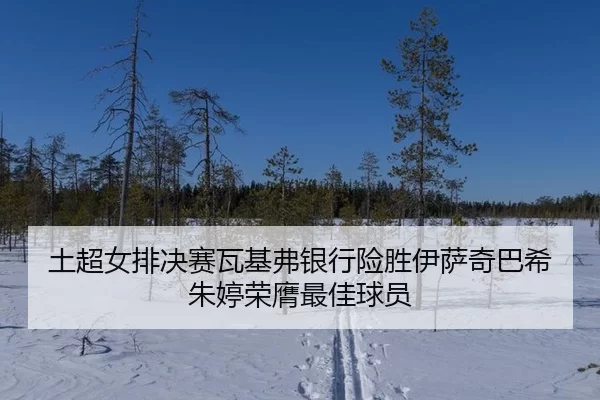 土超女排决赛瓦基弗银行险胜伊萨奇巴希 朱婷荣膺最佳球员