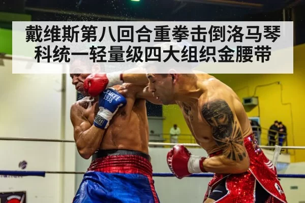 戴维斯第八回合重拳击倒洛马琴科统一轻量级四大组织金腰带