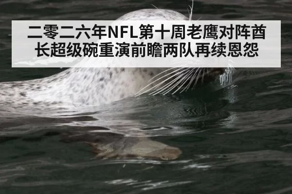 二零二六年NFL第十周老鹰对阵酋长超级碗重演前瞻两队再续恩怨